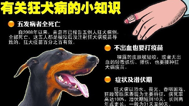 狂犬病的预防和治疗-西安医学院附属汉江医院